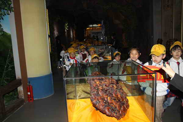 杭州亞運(yùn)會(huì)官方靈芝產(chǎn)品供應(yīng)商|杭州亞運(yùn)會(huì)官方供應(yīng)商|中國靈芝十大品牌|仙客來靈芝|仙客來靈芝破壁孢子粉|仙客來孢子油|仙客來靈芝飲片|仙客來破壁孢子粉|靈芝孢子油|孢子粉|靈芝破壁孢子粉|靈芝|中華老字號(hào)