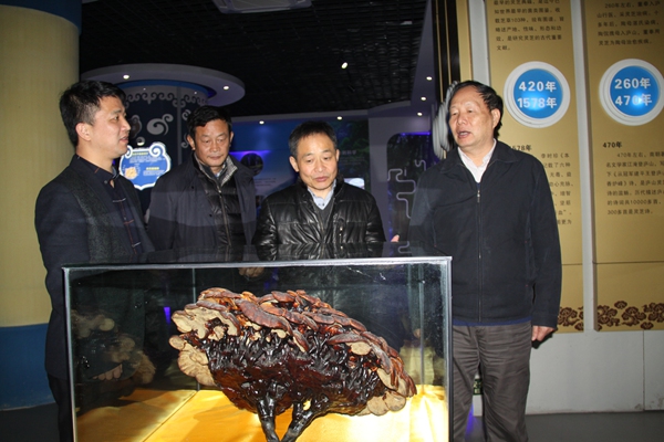 杭州亞運(yùn)會(huì)官方靈芝產(chǎn)品供應(yīng)商|杭州亞運(yùn)會(huì)官方供應(yīng)商|中國靈芝十大品牌|仙客來靈芝|仙客來靈芝破壁孢子粉|仙客來孢子油|仙客來靈芝飲片|仙客來破壁孢子粉|靈芝孢子油|孢子粉|靈芝破壁孢子粉|靈芝|中華老字號