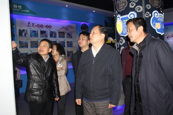 杭州亞運(yùn)會(huì)官方靈芝產(chǎn)品供應(yīng)商|杭州亞運(yùn)會(huì)官方供應(yīng)商|中國靈芝十大品牌|仙客來靈芝|仙客來靈芝破壁孢子粉|仙客來孢子油|仙客來靈芝飲片|仙客來破壁孢子粉|靈芝孢子油|孢子粉|靈芝破壁孢子粉|靈芝|中華老字號