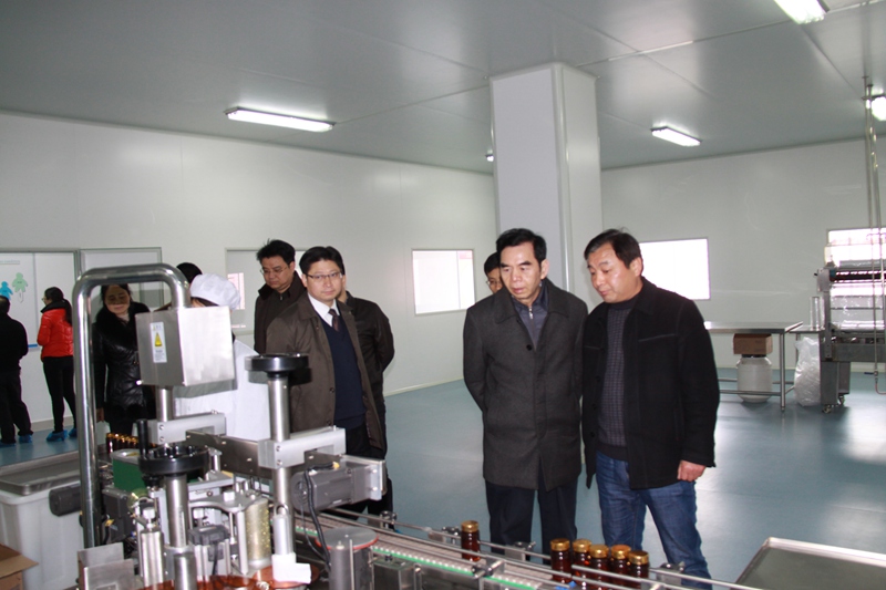 杭州亞運會官方靈芝產(chǎn)品供應商|杭州亞運會官方供應商|中國靈芝十大品牌|仙客來靈芝|仙客來靈芝破壁孢子粉|仙客來孢子油|仙客來靈芝飲片|仙客來破壁孢子粉|靈芝孢子油|孢子粉|靈芝破壁孢子粉|靈芝|中華老字號