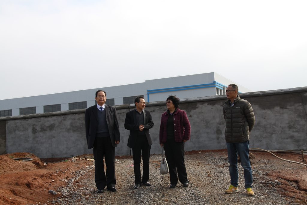 杭州亞運會官方靈芝產(chǎn)品供應(yīng)商|杭州亞運會官方供應(yīng)商|中國靈芝十大品牌|仙客來靈芝|仙客來靈芝破壁孢子粉|仙客來孢子油|仙客來靈芝飲片|仙客來破壁孢子粉|靈芝孢子油|孢子粉|靈芝破壁孢子粉|靈芝|中華老字號