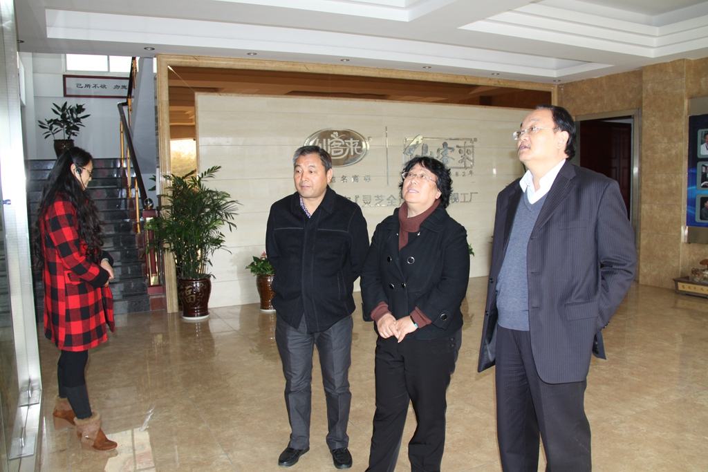 杭州亞運會官方靈芝產(chǎn)品供應(yīng)商|杭州亞運會官方供應(yīng)商|中國靈芝十大品牌|仙客來靈芝|仙客來靈芝破壁孢子粉|仙客來孢子油|仙客來靈芝飲片|仙客來破壁孢子粉|靈芝孢子油|孢子粉|靈芝破壁孢子粉|靈芝|中華老字號