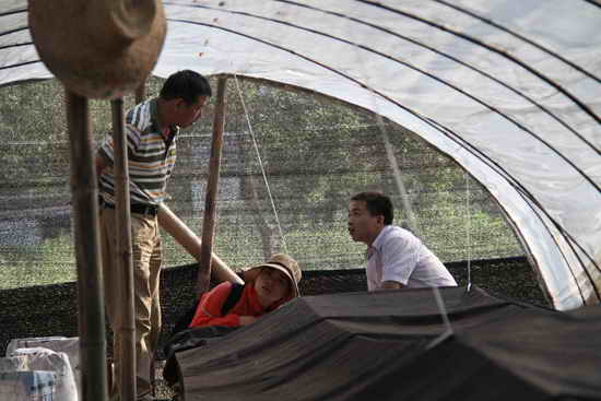 杭州亞運(yùn)會(huì)官方靈芝產(chǎn)品供應(yīng)商|杭州亞運(yùn)會(huì)官方供應(yīng)商|中國靈芝十大品牌|仙客來靈芝|仙客來靈芝破壁孢子粉|仙客來孢子油|仙客來靈芝飲片|仙客來破壁孢子粉|靈芝孢子油|孢子粉|靈芝破壁孢子粉|靈芝|中華老字號(hào) 杭州亞運(yùn)會(huì)官方靈芝產(chǎn)品供應(yīng)商|杭州亞運(yùn)會(huì)官方供應(yīng)商|中國靈芝十大品牌|仙客來靈芝|仙客來靈芝破壁孢子粉|仙客來孢子油|仙客來靈芝飲片|仙客來破壁孢子粉|靈芝孢子油|孢子粉|靈芝破壁孢子粉|靈芝|中華老字號(hào)