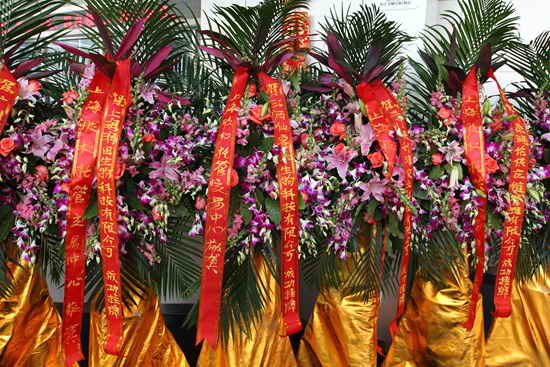 杭州亞運(yùn)會(huì)官方靈芝產(chǎn)品供應(yīng)商|杭州亞運(yùn)會(huì)官方供應(yīng)商|中國(guó)靈芝十大品牌|仙客來靈芝|仙客來靈芝破壁孢子粉|仙客來孢子油|仙客來靈芝飲片|仙客來破壁孢子粉|靈芝孢子油|孢子粉|靈芝破壁孢子粉|靈芝|中華老字號(hào) 杭州亞運(yùn)會(huì)官方靈芝產(chǎn)品供應(yīng)商|杭州亞運(yùn)會(huì)官方供應(yīng)商|中國(guó)靈芝十大品牌|仙客來靈芝|仙客來靈芝破壁孢子粉|仙客來孢子油|仙客來靈芝飲片|仙客來破壁孢子粉|靈芝孢子油|孢子粉|靈芝破壁孢子粉|靈芝|中華老字號(hào)