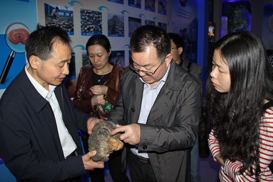 杭州亞運(yùn)會(huì)官方靈芝產(chǎn)品供應(yīng)商|杭州亞運(yùn)會(huì)官方供應(yīng)商|中國(guó)靈芝十大品牌|仙客來(lái)靈芝|仙客來(lái)靈芝破壁孢子粉|仙客來(lái)孢子油|仙客來(lái)靈芝飲片|仙客來(lái)破壁孢子粉|靈芝孢子油|孢子粉|靈芝破壁孢子粉|靈芝|中華老字號(hào)