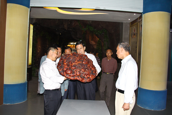 杭州亞運(yùn)會(huì)官方靈芝產(chǎn)品供應(yīng)商|杭州亞運(yùn)會(huì)官方供應(yīng)商|中國(guó)靈芝十大品牌|仙客來(lái)靈芝|仙客來(lái)靈芝破壁孢子粉|仙客來(lái)孢子油|仙客來(lái)靈芝飲片|仙客來(lái)破壁孢子粉|靈芝孢子油|孢子粉|靈芝破壁孢子粉|靈芝|中華老字號(hào) 杭州亞運(yùn)會(huì)官方靈芝產(chǎn)品供應(yīng)商|杭州亞運(yùn)會(huì)官方供應(yīng)商|中國(guó)靈芝十大品牌|仙客來(lái)靈芝|仙客來(lái)靈芝破壁孢子粉|仙客來(lái)孢子油|仙客來(lái)靈芝飲片|仙客來(lái)破壁孢子粉|靈芝孢子油|孢子粉|靈芝破壁孢子粉|靈芝|中華老字號(hào)