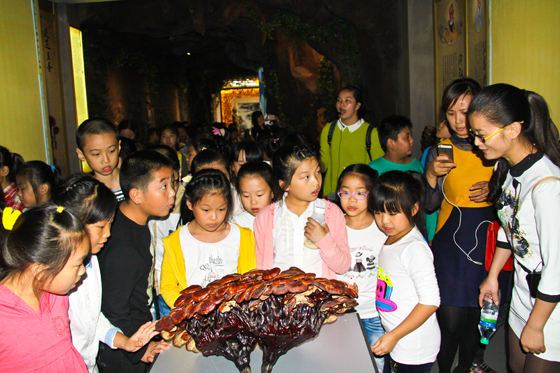 杭州亞運(yùn)會(huì)官方靈芝產(chǎn)品供應(yīng)商|杭州亞運(yùn)會(huì)官方供應(yīng)商|中國靈芝十大品牌|仙客來靈芝|仙客來靈芝破壁孢子粉|仙客來孢子油|仙客來靈芝飲片|仙客來破壁孢子粉|靈芝孢子油|孢子粉|靈芝破壁孢子粉|靈芝|中華老字號(hào) 杭州亞運(yùn)會(huì)官方靈芝產(chǎn)品供應(yīng)商|杭州亞運(yùn)會(huì)官方供應(yīng)商|中國靈芝十大品牌|仙客來靈芝|仙客來靈芝破壁孢子粉|仙客來孢子油|仙客來靈芝飲片|仙客來破壁孢子粉|靈芝孢子油|孢子粉|靈芝破壁孢子粉|靈芝|中華老字號(hào)