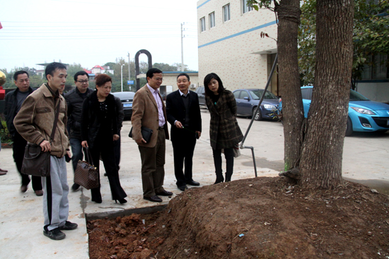 杭州亞運會官方靈芝產(chǎn)品供應(yīng)商|杭州亞運會官方供應(yīng)商|中國靈芝十大品牌|仙客來靈芝|仙客來靈芝破壁孢子粉|仙客來孢子油|仙客來靈芝飲片|仙客來破壁孢子粉|靈芝孢子油|孢子粉|靈芝破壁孢子粉|靈芝|中華老字號 杭州亞運會官方靈芝產(chǎn)品供應(yīng)商|杭州亞運會官方供應(yīng)商|中國靈芝十大品牌|仙客來靈芝|仙客來靈芝破壁孢子粉|仙客來孢子油|仙客來靈芝飲片|仙客來破壁孢子粉|靈芝孢子油|孢子粉|靈芝破壁孢子粉|靈芝|中華老字號