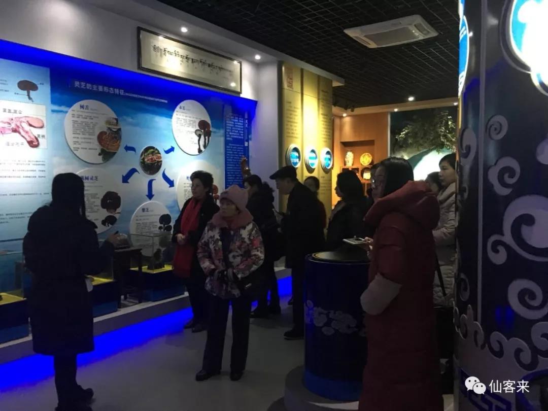 中國靈芝十大品牌|仙客來靈芝|仙客來靈芝破壁孢子粉|仙客來孢子油|仙客來靈芝飲片|仙客來破壁孢子粉|仙客來靈芝中藥飲片|馳名商標(biāo)|m.yuayua.cn| 中國靈芝十大品牌|仙客來靈芝|仙客來靈芝破壁孢子粉|仙客來孢子油|仙客來靈芝飲片|仙客來破壁孢子粉|仙客來靈芝中藥飲片|馳名商標(biāo)|m.yuayua.cn|