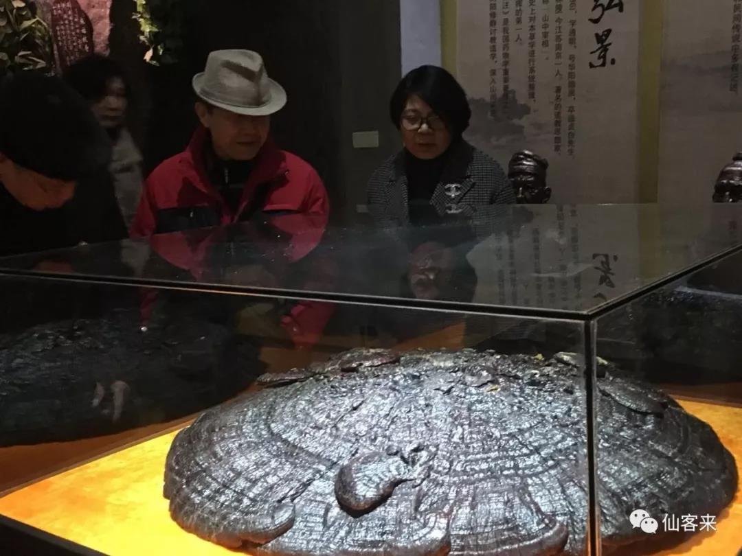 中國靈芝十大品牌|仙客來靈芝|仙客來靈芝破壁孢子粉|仙客來孢子油|仙客來靈芝飲片|仙客來破壁孢子粉|仙客來靈芝中藥飲片|馳名商標(biāo)|m.yuayua.cn| 中國靈芝十大品牌|仙客來靈芝|仙客來靈芝破壁孢子粉|仙客來孢子油|仙客來靈芝飲片|仙客來破壁孢子粉|仙客來靈芝中藥飲片|馳名商標(biāo)|m.yuayua.cn|