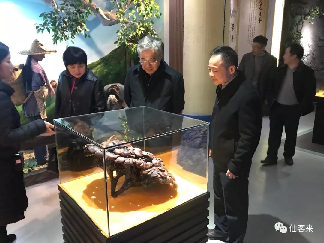 中國(guó)靈芝十大品牌|仙客來(lái)靈芝|仙客來(lái)靈芝破壁孢子粉|仙客來(lái)孢子油|仙客來(lái)靈芝飲片|仙客來(lái)破壁孢子粉|仙客來(lái)靈芝中藥飲片|馳名商標(biāo)|m.yuayua.cn|