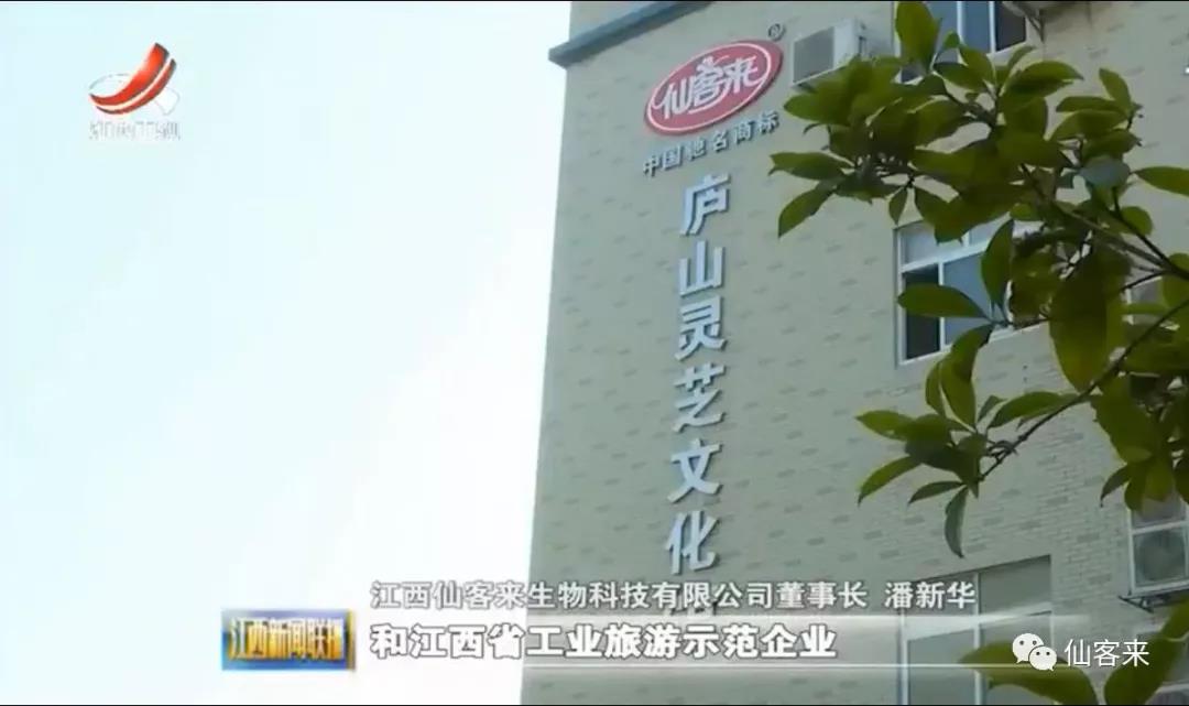 中國(guó)靈芝十大品牌|仙客來(lái)靈芝|仙客來(lái)靈芝破壁孢子粉|仙客來(lái)孢子油|仙客來(lái)靈芝飲片|仙客來(lái)破壁孢子粉|仙客來(lái)靈芝中藥飲片|馳名商標(biāo)|m.yuayua.cn| 中國(guó)靈芝十大品牌|仙客來(lái)靈芝|仙客來(lái)靈芝破壁孢子粉|仙客來(lái)孢子油|仙客來(lái)靈芝飲片|仙客來(lái)破壁孢子粉|仙客來(lái)靈芝中藥飲片|馳名商標(biāo)|m.yuayua.cn|