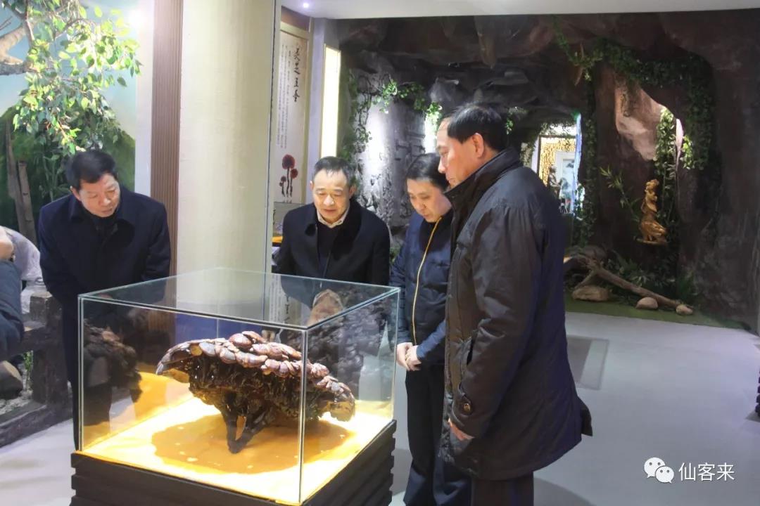 中國靈芝十大品牌|仙客來靈芝|仙客來靈芝破壁孢子粉|仙客來孢子油|仙客來靈芝飲片|仙客來破壁孢子粉|仙客來靈芝中藥飲片|馳名商標(biāo)|m.yuayua.cn| 中國靈芝十大品牌|仙客來靈芝|仙客來靈芝破壁孢子粉|仙客來孢子油|仙客來靈芝飲片|仙客來破壁孢子粉|仙客來靈芝中藥飲片|馳名商標(biāo)|m.yuayua.cn|