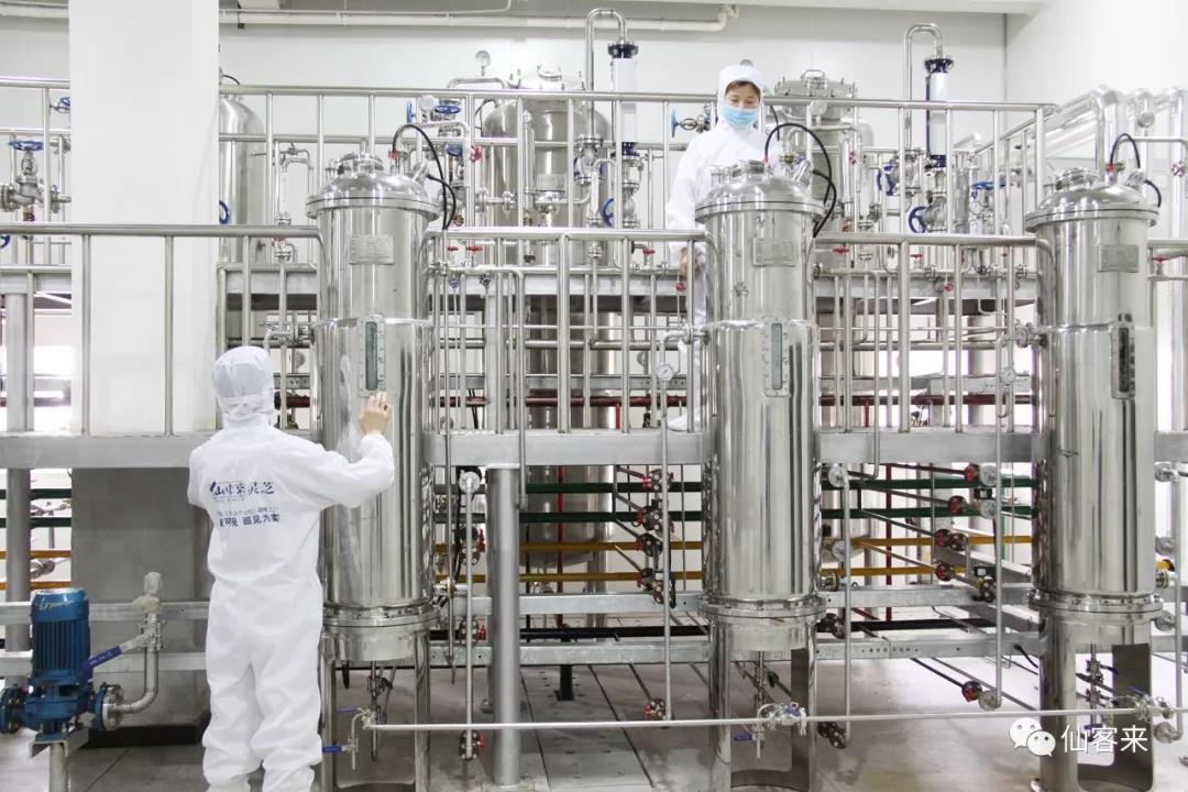 中國(guó)靈芝十大品牌|仙客來(lái)靈芝|仙客來(lái)靈芝破壁孢子粉|仙客來(lái)孢子油|仙客來(lái)靈芝飲片|仙客來(lái)破壁孢子粉|仙客來(lái)靈芝中藥飲片|馳名商標(biāo)|m.yuayua.cn|