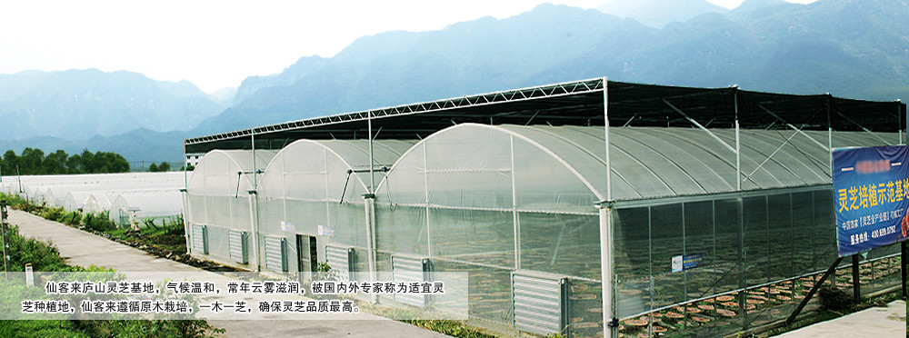 中國靈芝十大品牌|仙客來靈芝|仙客來靈芝破壁孢子粉|仙客來孢子油|仙客來靈芝飲片|仙客來破壁孢子粉|仙客來靈芝中藥飲片|馳名商標(biāo)|m.yuayua.cn| 中國靈芝十大品牌|仙客來靈芝|仙客來靈芝破壁孢子粉|仙客來孢子油|仙客來靈芝飲片|仙客來破壁孢子粉|仙客來靈芝中藥飲片|馳名商標(biāo)|m.yuayua.cn|