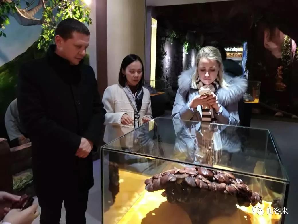 中國(guó)靈芝十大品牌|仙客來(lái)靈芝|仙客來(lái)靈芝破壁孢子粉|仙客來(lái)孢子油|仙客來(lái)靈芝飲片|仙客來(lái)破壁孢子粉|仙客來(lái)靈芝中藥飲片|馳名商標(biāo)|m.yuayua.cn| 中國(guó)靈芝十大品牌|仙客來(lái)靈芝|仙客來(lái)靈芝破壁孢子粉|仙客來(lái)孢子油|仙客來(lái)靈芝飲片|仙客來(lái)破壁孢子粉|仙客來(lái)靈芝中藥飲片|馳名商標(biāo)|m.yuayua.cn|