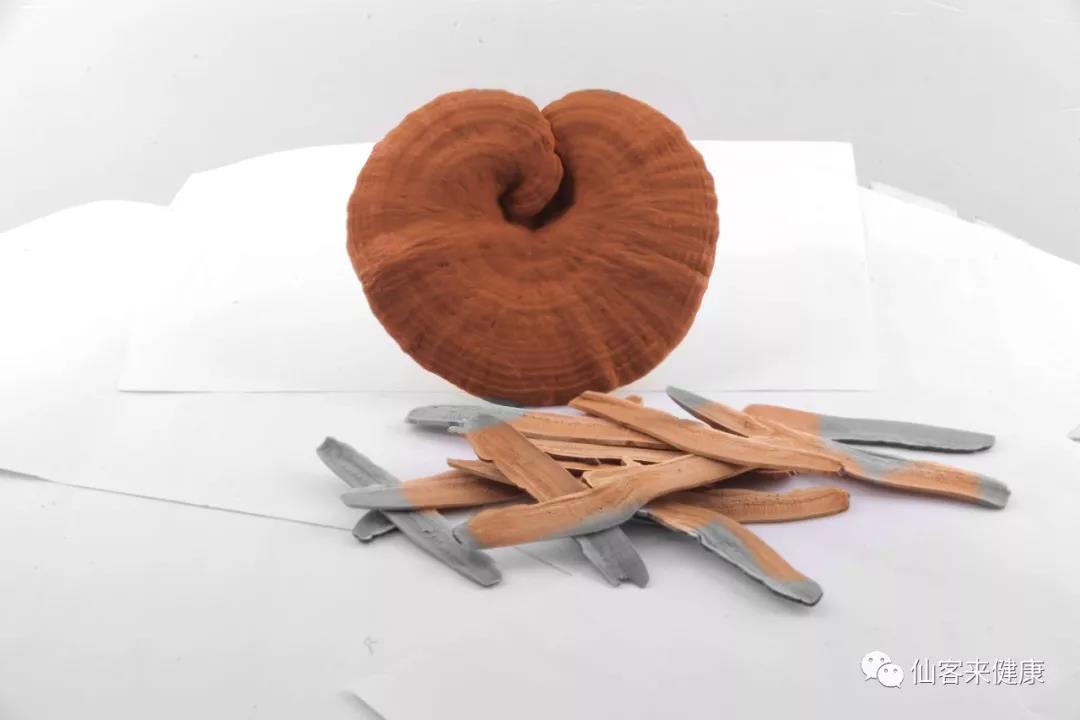 中國靈芝十大品牌|仙客來靈芝|仙客來靈芝破壁孢子粉|仙客來孢子油|仙客來靈芝飲片|仙客來破壁孢子粉|仙客來靈芝中藥飲片|馳名商標(biāo)|m.yuayua.cn| 中國靈芝十大品牌|仙客來靈芝|仙客來靈芝破壁孢子粉|仙客來孢子油|仙客來靈芝飲片|仙客來破壁孢子粉|仙客來靈芝中藥飲片|馳名商標(biāo)|m.yuayua.cn|