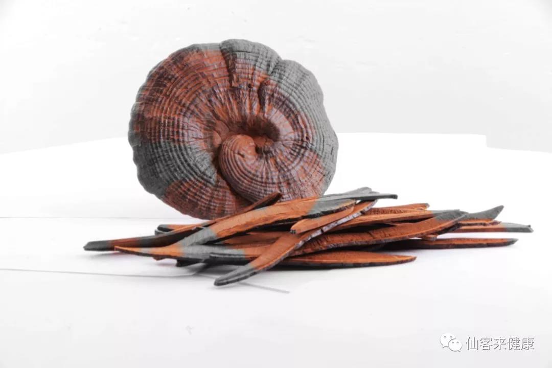 中國靈芝十大品牌|仙客來靈芝|仙客來靈芝破壁孢子粉|仙客來孢子油|仙客來靈芝飲片|仙客來破壁孢子粉|仙客來靈芝中藥飲片|馳名商標(biāo)|m.yuayua.cn| 中國靈芝十大品牌|仙客來靈芝|仙客來靈芝破壁孢子粉|仙客來孢子油|仙客來靈芝飲片|仙客來破壁孢子粉|仙客來靈芝中藥飲片|馳名商標(biāo)|m.yuayua.cn|