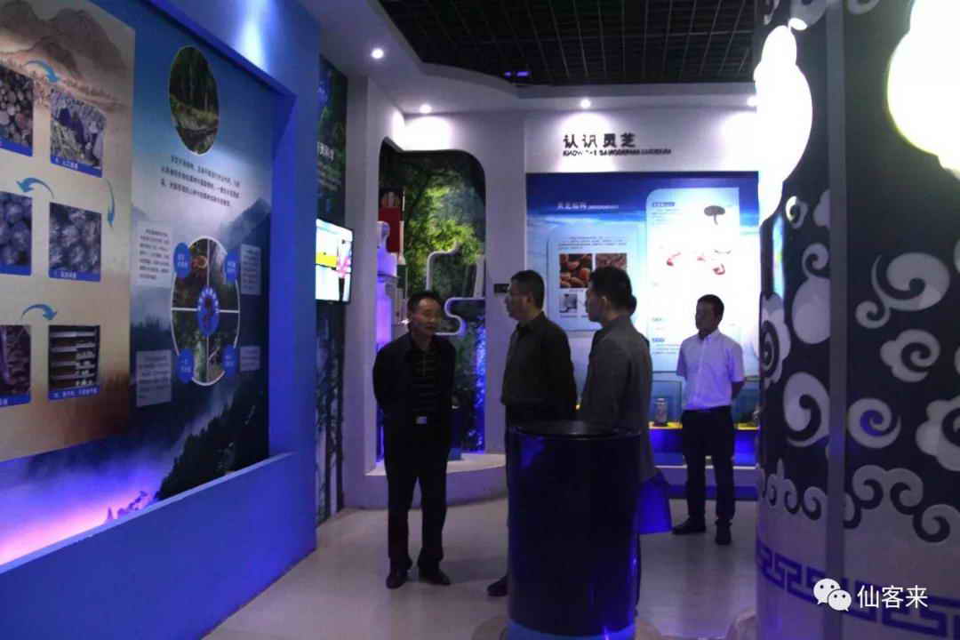 中國靈芝十大品牌|仙客來靈芝|仙客來靈芝破壁孢子粉|仙客來孢子油|仙客來靈芝飲片|仙客來破壁孢子粉|仙客來靈芝中藥飲片|馳名商標|m.yuayua.cn| 中國靈芝十大品牌|仙客來靈芝|仙客來靈芝破壁孢子粉|仙客來孢子油|仙客來靈芝飲片|仙客來破壁孢子粉|仙客來靈芝中藥飲片|馳名商標|m.yuayua.cn|