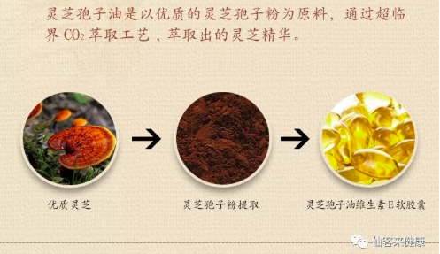 中國靈芝十大品牌|仙客來靈芝|仙客來靈芝破壁孢子粉|仙客來孢子油|仙客來靈芝飲片|仙客來破壁孢子粉|仙客來靈芝中藥飲片|馳名商標|m.yuayua.cn| 中國靈芝十大品牌|仙客來靈芝|仙客來靈芝破壁孢子粉|仙客來孢子油|仙客來靈芝飲片|仙客來破壁孢子粉|仙客來靈芝中藥飲片|馳名商標|m.yuayua.cn|