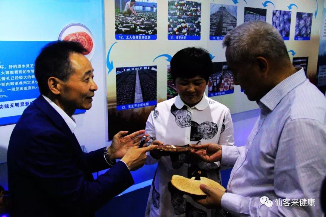 杭州亞運(yùn)會(huì)官方靈芝產(chǎn)品供應(yīng)商|杭州亞運(yùn)會(huì)官方供應(yīng)商|中國靈芝十大品牌|仙客來靈芝|仙客來靈芝破壁孢子粉|仙客來孢子油|仙客來靈芝飲片|仙客來破壁孢子粉|靈芝孢子油|孢子粉|靈芝破壁孢子粉|靈芝|中華老字號