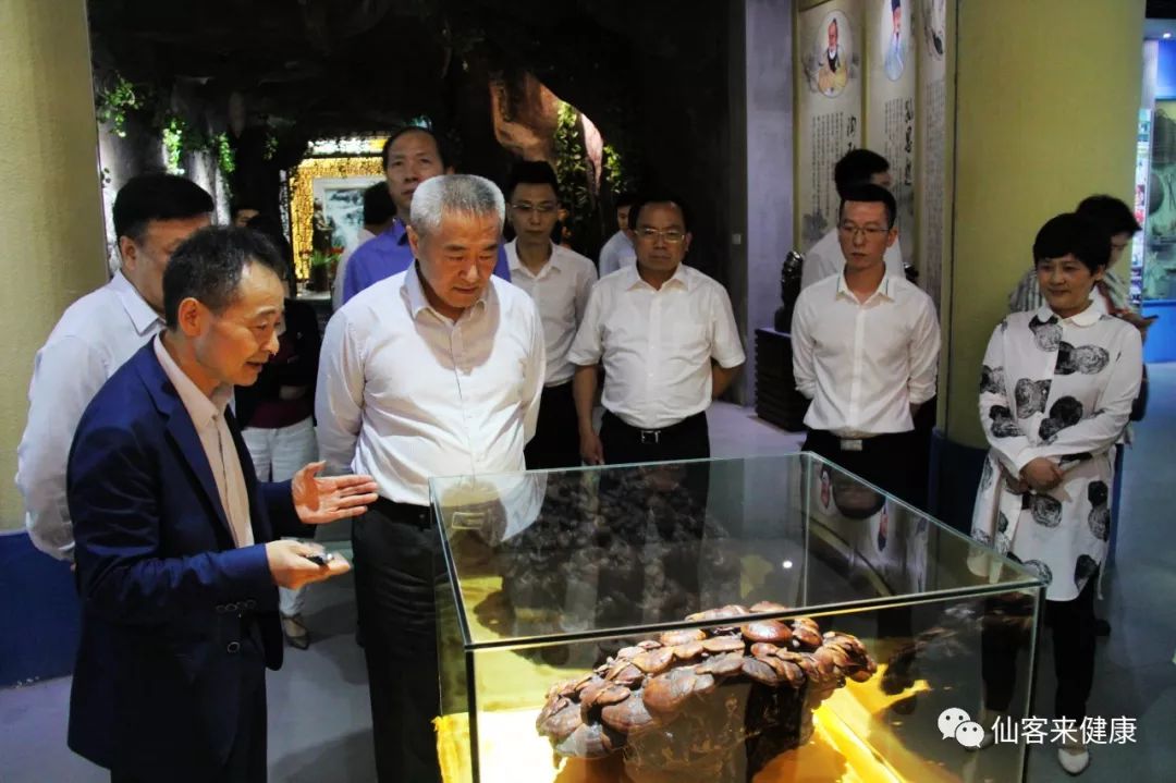 杭州亞運(yùn)會(huì)官方靈芝產(chǎn)品供應(yīng)商|杭州亞運(yùn)會(huì)官方供應(yīng)商|中國靈芝十大品牌|仙客來靈芝|仙客來靈芝破壁孢子粉|仙客來孢子油|仙客來靈芝飲片|仙客來破壁孢子粉|靈芝孢子油|孢子粉|靈芝破壁孢子粉|靈芝|中華老字號