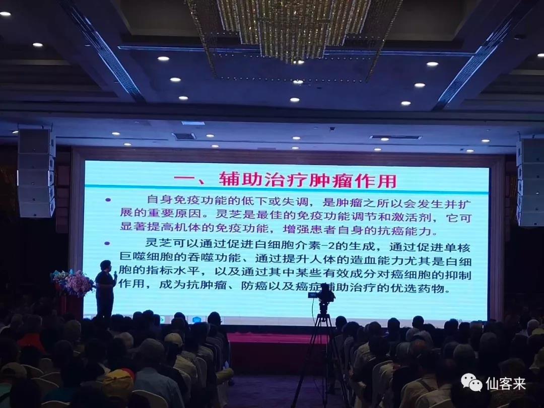 1561712715156097.jpg 杭州亞運(yùn)會(huì)官方靈芝產(chǎn)品供應(yīng)商|杭州亞運(yùn)會(huì)官方供應(yīng)商|中國(guó)靈芝十大品牌|仙客來靈芝|仙客來靈芝破壁孢子粉|仙客來孢子油|仙客來靈芝飲片|仙客來破壁孢子粉|靈芝孢子油|孢子粉|靈芝破壁孢子粉|靈芝|中華老字號(hào)