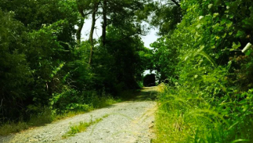 中國靈芝十大品牌|仙客來靈芝|仙客來靈芝破壁孢子粉|仙客來孢子油|仙客來靈芝飲片|仙客來破壁孢子粉|仙客來靈芝中藥飲片|馳名商標|m.yuayua.cn| 中國靈芝十大品牌|仙客來靈芝|仙客來靈芝破壁孢子粉|仙客來孢子油|仙客來靈芝飲片|仙客來破壁孢子粉|仙客來靈芝中藥飲片|馳名商標|m.yuayua.cn|