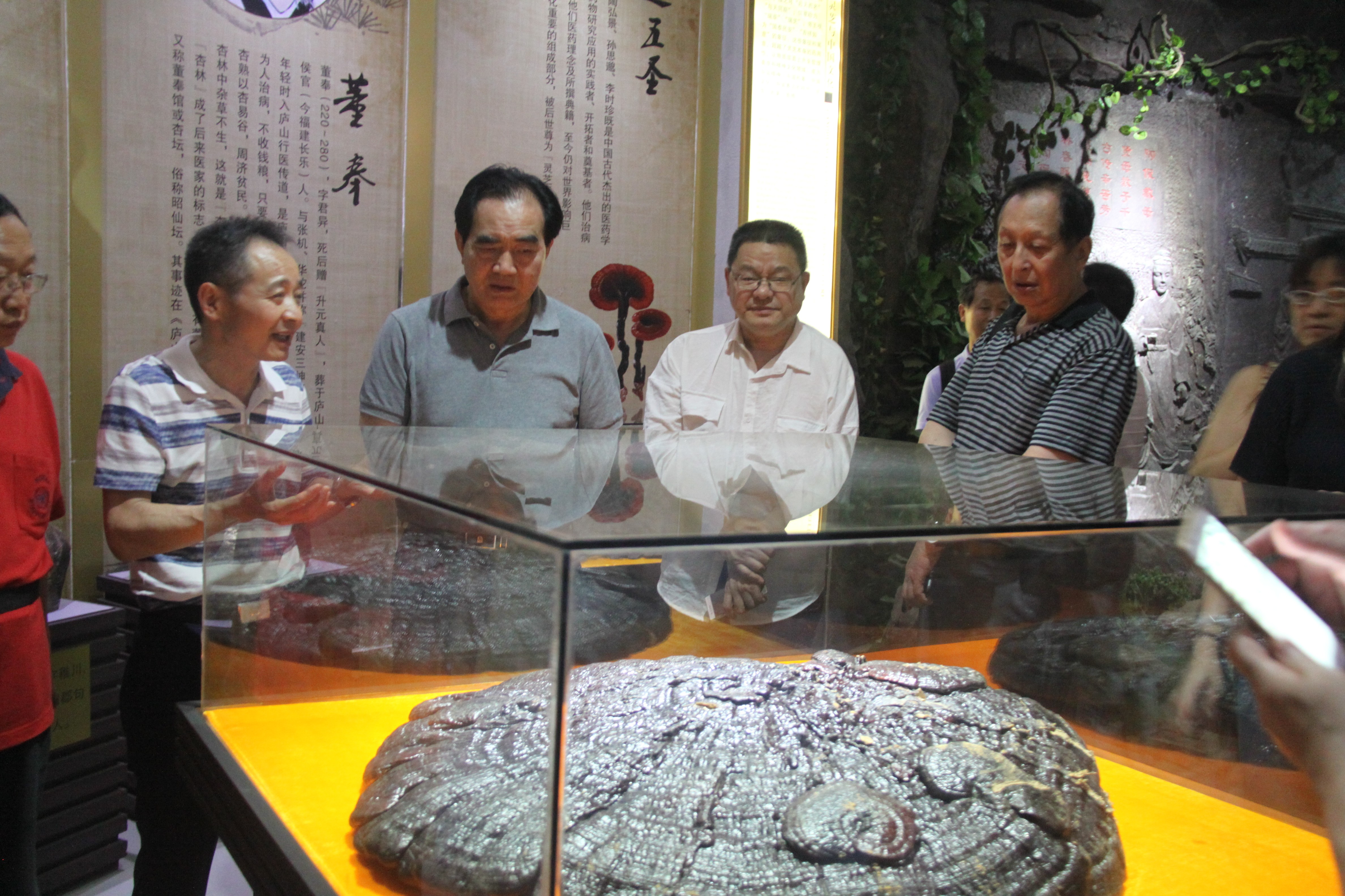 中國(guó)靈芝十大品牌|仙客來(lái)靈芝|仙客來(lái)靈芝破壁孢子粉|仙客來(lái)孢子油|仙客來(lái)靈芝飲片|仙客來(lái)破壁孢子粉|仙客來(lái)靈芝中藥飲片|馳名商標(biāo)|m.yuayua.cn|