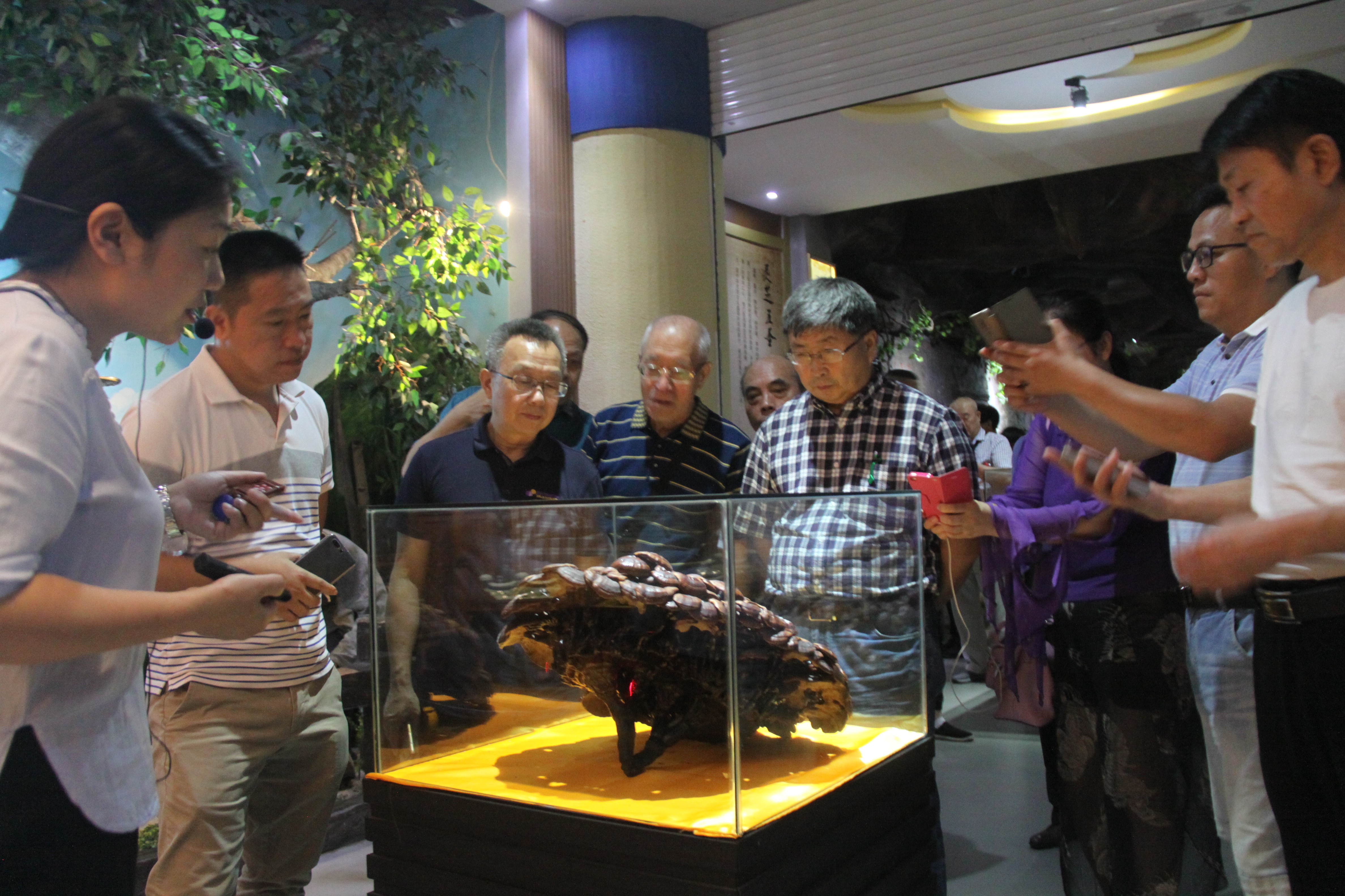 中國(guó)靈芝十大品牌|仙客來(lái)靈芝|仙客來(lái)靈芝破壁孢子粉|仙客來(lái)孢子油|仙客來(lái)靈芝飲片|仙客來(lái)破壁孢子粉|仙客來(lái)靈芝中藥飲片|馳名商標(biāo)|m.yuayua.cn|