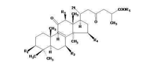 中國(guó)靈芝十大品牌|仙客來(lái)靈芝|仙客來(lái)靈芝破壁孢子粉|仙客來(lái)孢子油|仙客來(lái)靈芝飲片|仙客來(lái)破壁孢子粉|仙客來(lái)靈芝中藥飲片|馳名商標(biāo)|m.yuayua.cn| 中國(guó)靈芝十大品牌|仙客來(lái)靈芝|仙客來(lái)靈芝破壁孢子粉|仙客來(lái)孢子油|仙客來(lái)靈芝飲片|仙客來(lái)破壁孢子粉|仙客來(lái)靈芝中藥飲片|馳名商標(biāo)|m.yuayua.cn|