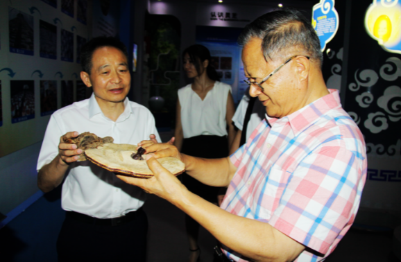 中國靈芝十大品牌|仙客來靈芝|仙客來靈芝破壁孢子粉|仙客來孢子油|仙客來靈芝飲片|仙客來破壁孢子粉|仙客來靈芝中藥飲片|馳名商標|m.yuayua.cn| 中國靈芝十大品牌|仙客來靈芝|仙客來靈芝破壁孢子粉|仙客來孢子油|仙客來靈芝飲片|仙客來破壁孢子粉|仙客來靈芝中藥飲片|馳名商標|m.yuayua.cn|