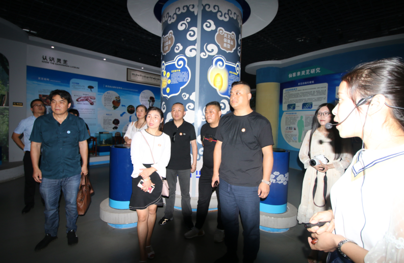 中國靈芝十大品牌|仙客來靈芝|仙客來靈芝破壁孢子粉|仙客來孢子油|仙客來靈芝飲片|仙客來破壁孢子粉|仙客來靈芝中藥飲片|馳名商標|m.yuayua.cn|