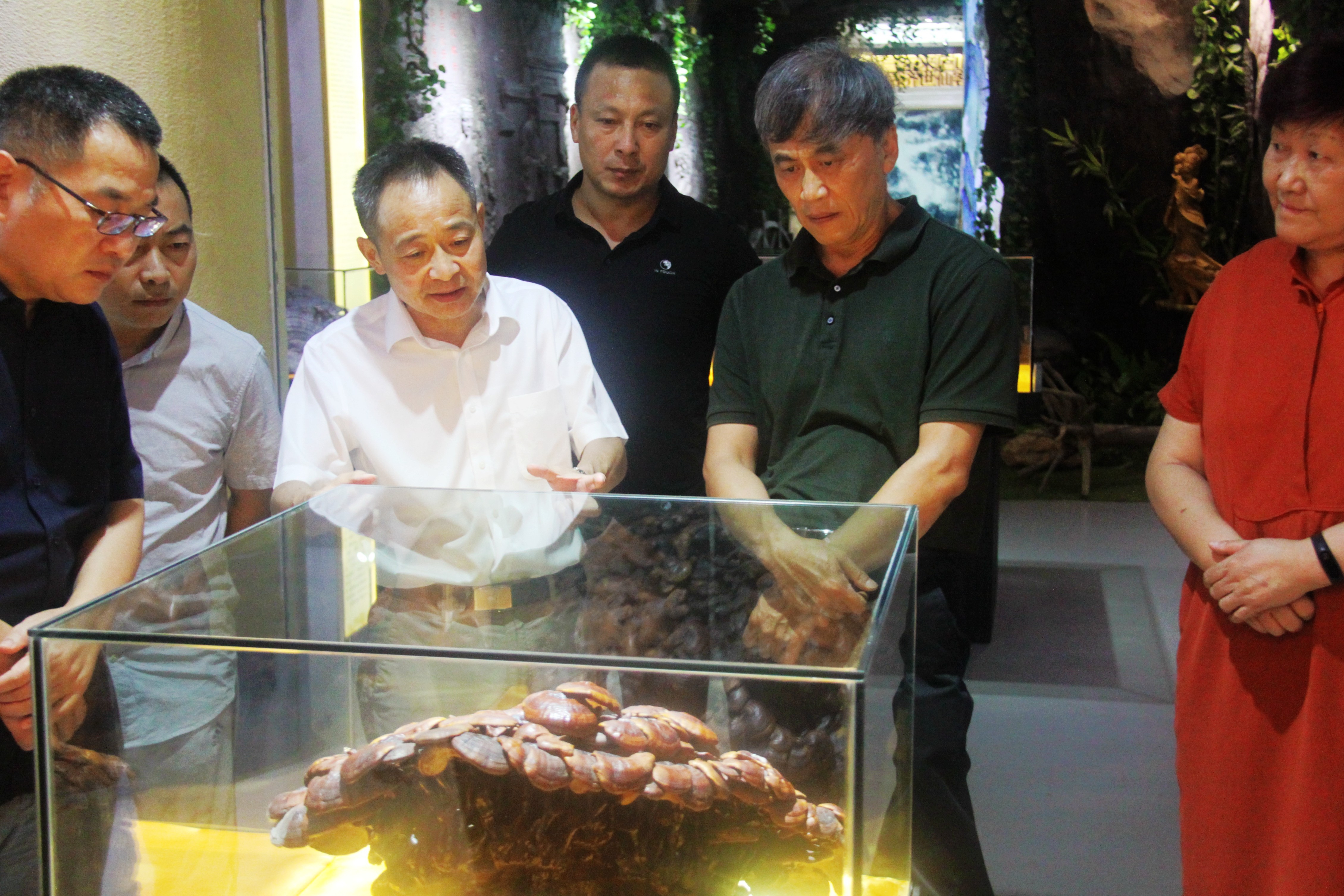 中國靈芝十大品牌|仙客來靈芝|仙客來靈芝破壁孢子粉|仙客來孢子油|仙客來靈芝飲片|仙客來破壁孢子粉|仙客來靈芝中藥飲片|馳名商標(biāo)|m.yuayua.cn| 中國靈芝十大品牌|仙客來靈芝|仙客來靈芝破壁孢子粉|仙客來孢子油|仙客來靈芝飲片|仙客來破壁孢子粉|仙客來靈芝中藥飲片|馳名商標(biāo)|m.yuayua.cn|