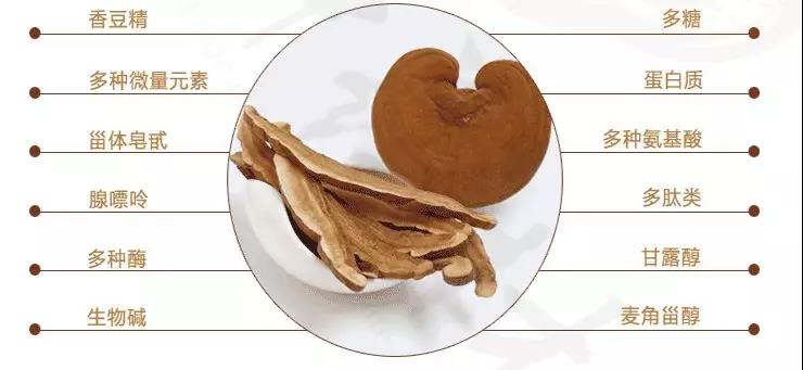 中國靈芝十大品牌|仙客來靈芝|仙客來靈芝破壁孢子粉|仙客來孢子油|仙客來靈芝飲片|仙客來破壁孢子粉|仙客來靈芝中藥飲片|馳名商標|m.yuayua.cn| 中國靈芝十大品牌|仙客來靈芝|仙客來靈芝破壁孢子粉|仙客來孢子油|仙客來靈芝飲片|仙客來破壁孢子粉|仙客來靈芝中藥飲片|馳名商標|m.yuayua.cn|