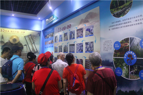 1568098055348243.jpg 杭州亞運會官方靈芝產品供應商|杭州亞運會官方供應商|中國靈芝十大品牌|仙客來靈芝|仙客來靈芝破壁孢子粉|仙客來孢子油|仙客來靈芝飲片|仙客來破壁孢子粉|靈芝孢子油|孢子粉|靈芝破壁孢子粉|靈芝|中華老字號