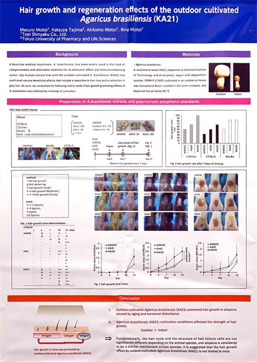 中國(guó)靈芝十大品牌|仙客來(lái)靈芝|仙客來(lái)靈芝破壁孢子粉|仙客來(lái)孢子油|仙客來(lái)靈芝飲片|仙客來(lái)破壁孢子粉|仙客來(lái)靈芝中藥飲片|馳名商標(biāo)|m.yuayua.cn| 中國(guó)靈芝十大品牌|仙客來(lái)靈芝|仙客來(lái)靈芝破壁孢子粉|仙客來(lái)孢子油|仙客來(lái)靈芝飲片|仙客來(lái)破壁孢子粉|仙客來(lái)靈芝中藥飲片|馳名商標(biāo)|m.yuayua.cn|