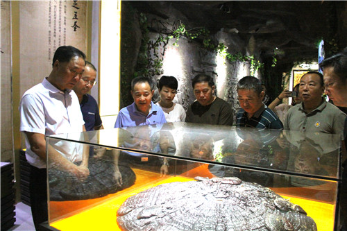 中國(guó)靈芝十大品牌|仙客來(lái)靈芝|仙客來(lái)靈芝破壁孢子粉|仙客來(lái)孢子油|仙客來(lái)靈芝飲片|仙客來(lái)破壁孢子粉|仙客來(lái)靈芝中藥飲片|馳名商標(biāo)|m.yuayua.cn|