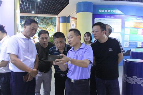 中國(guó)靈芝十大品牌|仙客來(lái)靈芝|仙客來(lái)靈芝破壁孢子粉|仙客來(lái)孢子油|仙客來(lái)靈芝飲片|仙客來(lái)破壁孢子粉|仙客來(lái)靈芝中藥飲片|馳名商標(biāo)|m.yuayua.cn|