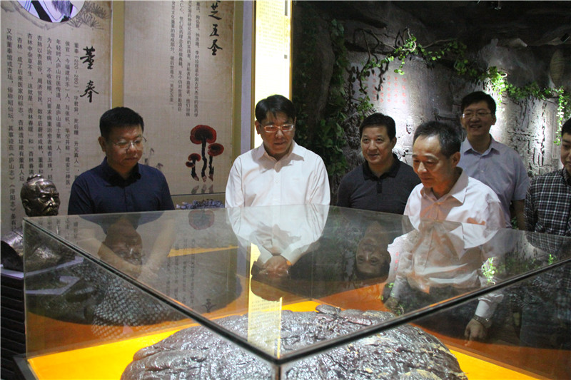 中國靈芝十大品牌|仙客來靈芝|仙客來靈芝破壁孢子粉|仙客來孢子油|仙客來靈芝飲片|仙客來破壁孢子粉|仙客來靈芝中藥飲片|馳名商標|m.yuayua.cn|