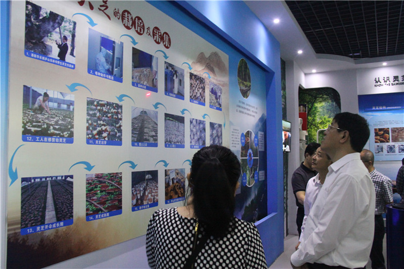 中國靈芝十大品牌|仙客來靈芝|仙客來靈芝破壁孢子粉|仙客來孢子油|仙客來靈芝飲片|仙客來破壁孢子粉|仙客來靈芝中藥飲片|馳名商標|m.yuayua.cn|