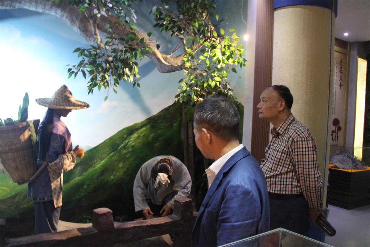 中國靈芝十大品牌|仙客來靈芝|仙客來靈芝破壁孢子粉|仙客來孢子油|仙客來靈芝飲片|仙客來破壁孢子粉|仙客來靈芝中藥飲片|馳名商標(biāo)|m.yuayua.cn| 中國靈芝十大品牌|仙客來靈芝|仙客來靈芝破壁孢子粉|仙客來孢子油|仙客來靈芝飲片|仙客來破壁孢子粉|仙客來靈芝中藥飲片|馳名商標(biāo)|m.yuayua.cn|