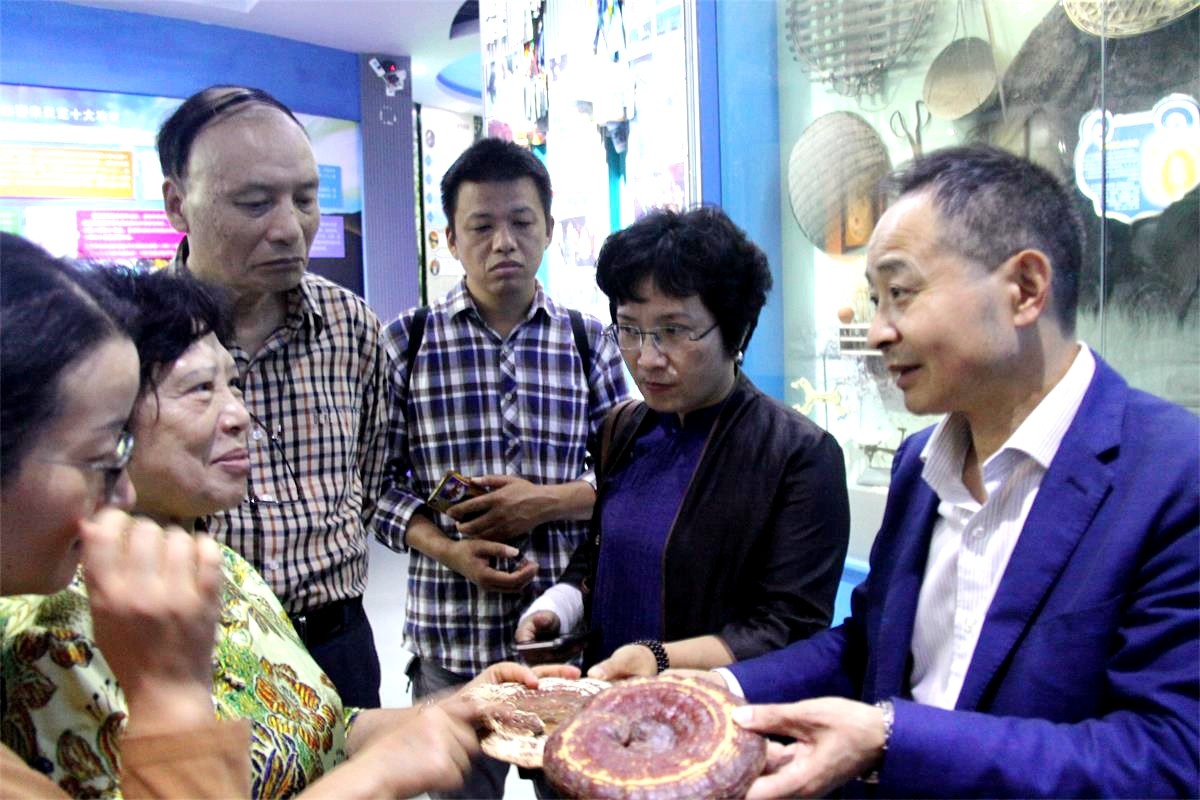 中國靈芝十大品牌|仙客來靈芝|仙客來靈芝破壁孢子粉|仙客來孢子油|仙客來靈芝飲片|仙客來破壁孢子粉|仙客來靈芝中藥飲片|馳名商標(biāo)|m.yuayua.cn| 中國靈芝十大品牌|仙客來靈芝|仙客來靈芝破壁孢子粉|仙客來孢子油|仙客來靈芝飲片|仙客來破壁孢子粉|仙客來靈芝中藥飲片|馳名商標(biāo)|m.yuayua.cn|