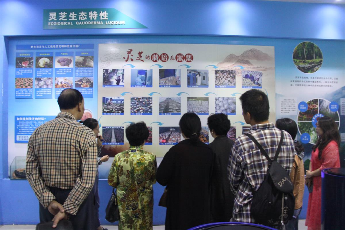 中國靈芝十大品牌|仙客來靈芝|仙客來靈芝破壁孢子粉|仙客來孢子油|仙客來靈芝飲片|仙客來破壁孢子粉|仙客來靈芝中藥飲片|馳名商標(biāo)|m.yuayua.cn| 中國靈芝十大品牌|仙客來靈芝|仙客來靈芝破壁孢子粉|仙客來孢子油|仙客來靈芝飲片|仙客來破壁孢子粉|仙客來靈芝中藥飲片|馳名商標(biāo)|m.yuayua.cn|