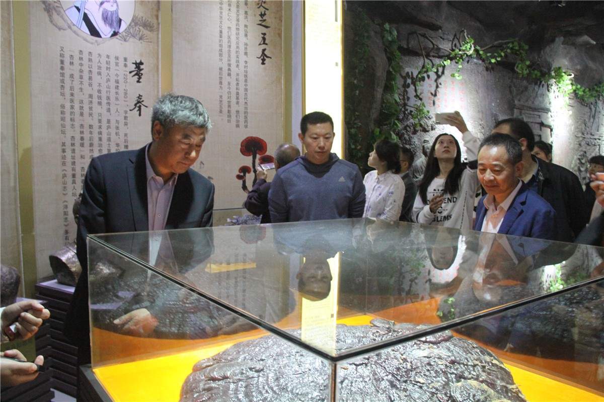 中國(guó)靈芝十大品牌|仙客來(lái)靈芝|仙客來(lái)靈芝破壁孢子粉|仙客來(lái)孢子油|仙客來(lái)靈芝飲片|仙客來(lái)破壁孢子粉|仙客來(lái)靈芝中藥飲片|馳名商標(biāo)|m.yuayua.cn|