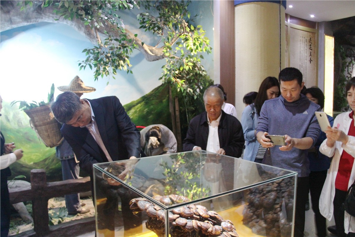 中國(guó)靈芝十大品牌|仙客來(lái)靈芝|仙客來(lái)靈芝破壁孢子粉|仙客來(lái)孢子油|仙客來(lái)靈芝飲片|仙客來(lái)破壁孢子粉|仙客來(lái)靈芝中藥飲片|馳名商標(biāo)|m.yuayua.cn|