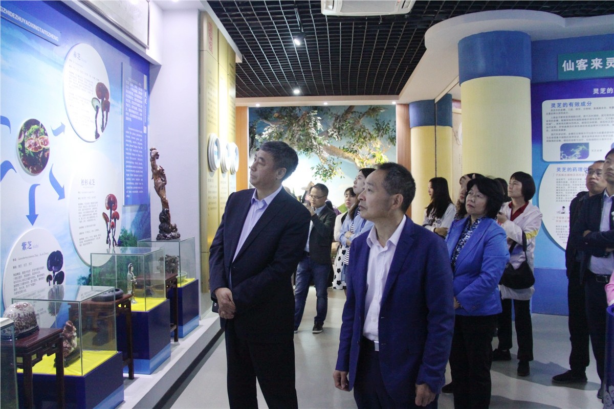 中國(guó)靈芝十大品牌|仙客來(lái)靈芝|仙客來(lái)靈芝破壁孢子粉|仙客來(lái)孢子油|仙客來(lái)靈芝飲片|仙客來(lái)破壁孢子粉|仙客來(lái)靈芝中藥飲片|馳名商標(biāo)|m.yuayua.cn|