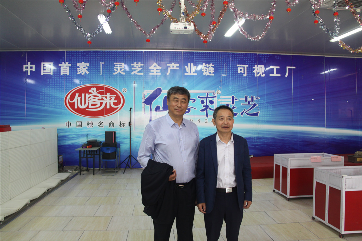 中國(guó)靈芝十大品牌|仙客來(lái)靈芝|仙客來(lái)靈芝破壁孢子粉|仙客來(lái)孢子油|仙客來(lái)靈芝飲片|仙客來(lái)破壁孢子粉|仙客來(lái)靈芝中藥飲片|馳名商標(biāo)|m.yuayua.cn|