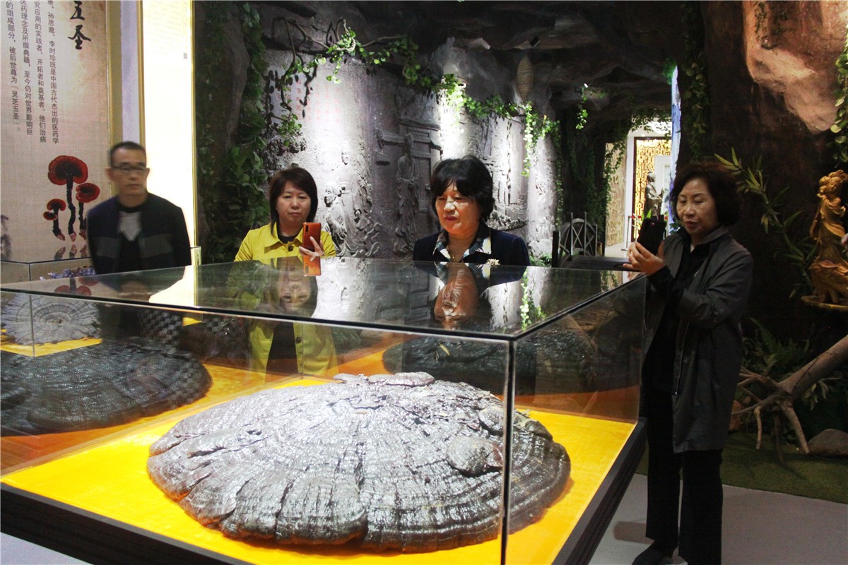 中國(guó)靈芝十大品牌|仙客來(lái)靈芝|仙客來(lái)靈芝破壁孢子粉|仙客來(lái)孢子油|仙客來(lái)靈芝飲片|仙客來(lái)破壁孢子粉|仙客來(lái)靈芝中藥飲片|馳名商標(biāo)|m.yuayua.cn|