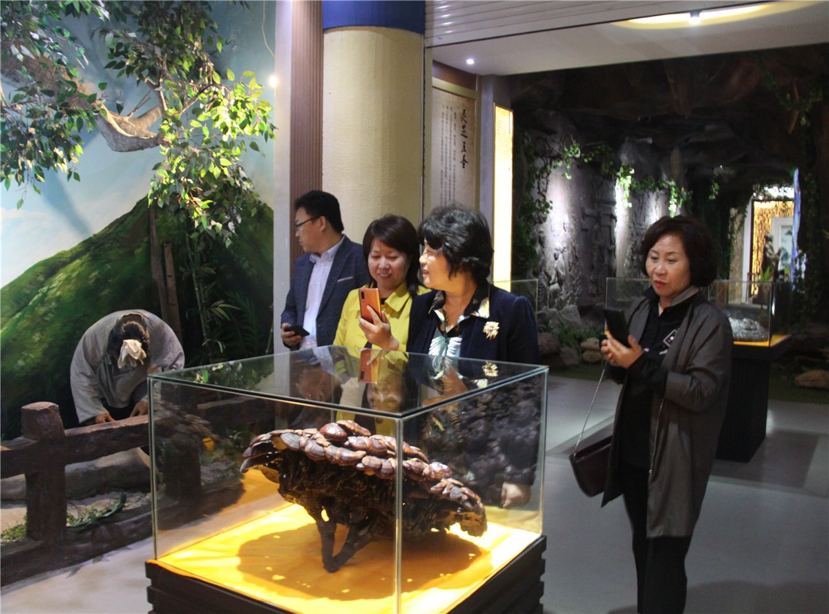 中國(guó)靈芝十大品牌|仙客來(lái)靈芝|仙客來(lái)靈芝破壁孢子粉|仙客來(lái)孢子油|仙客來(lái)靈芝飲片|仙客來(lái)破壁孢子粉|仙客來(lái)靈芝中藥飲片|馳名商標(biāo)|m.yuayua.cn|